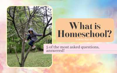 5 of the Most Asked Questions and Concerns About Homeschooling Answered! (What is Homeschool?)