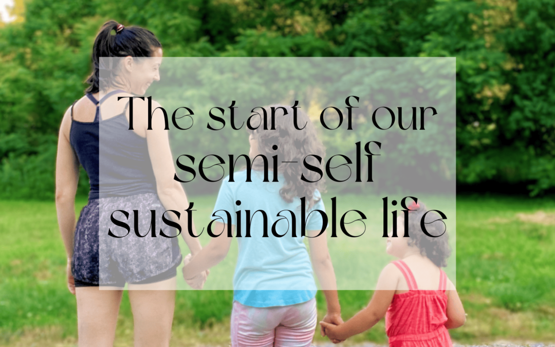 what we’re doing and not doing to simplify life and be more self sustainable